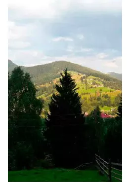 nature